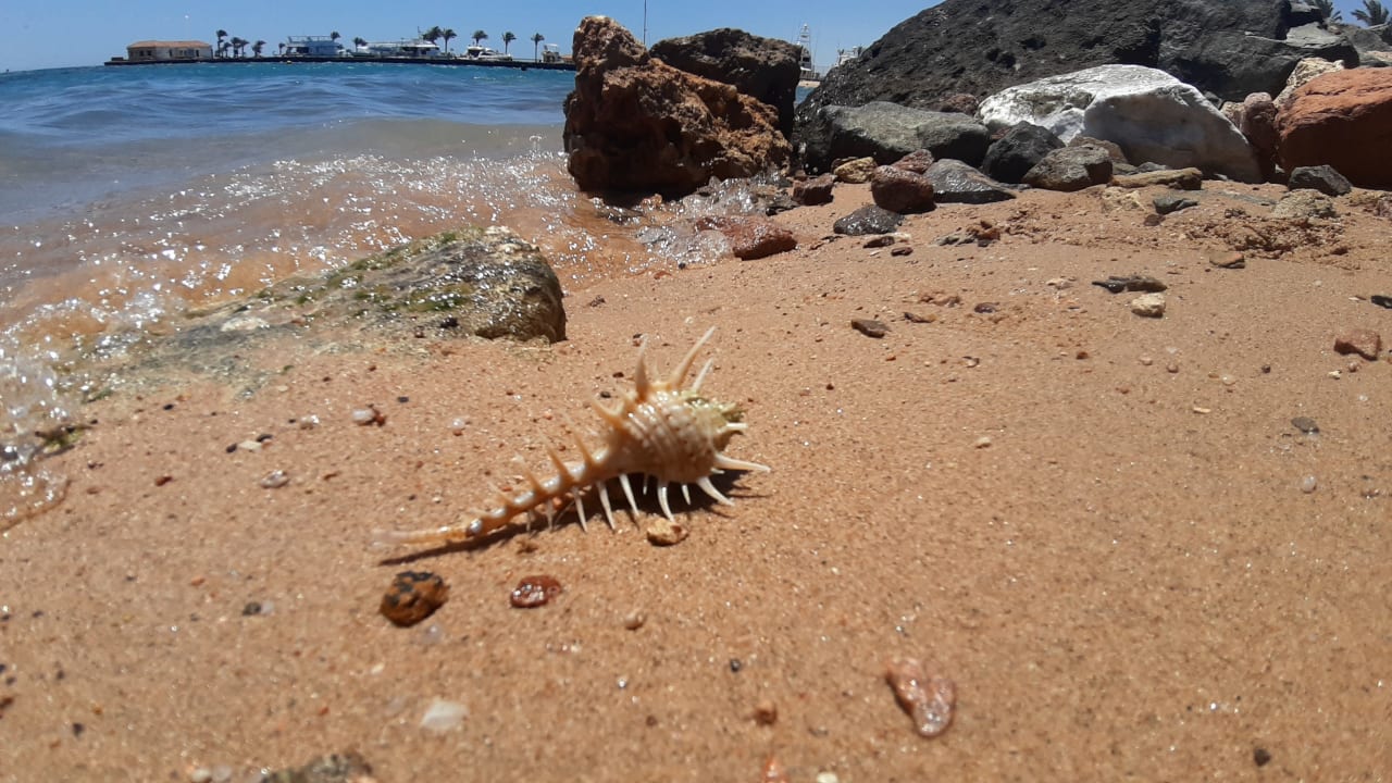 Strand Steigenberger Aqua Magic