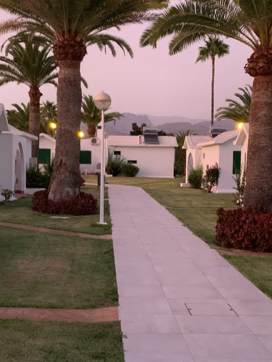 Gartenanlage Canary Garden Club