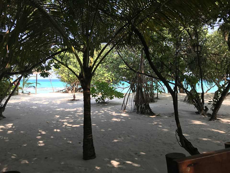 Ausblick NH Collection Maldives Reethi Resort
