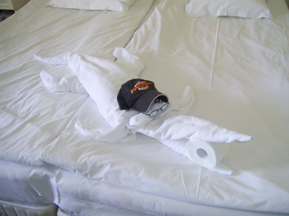 Saubere Arbeit HVD Riviera Beach