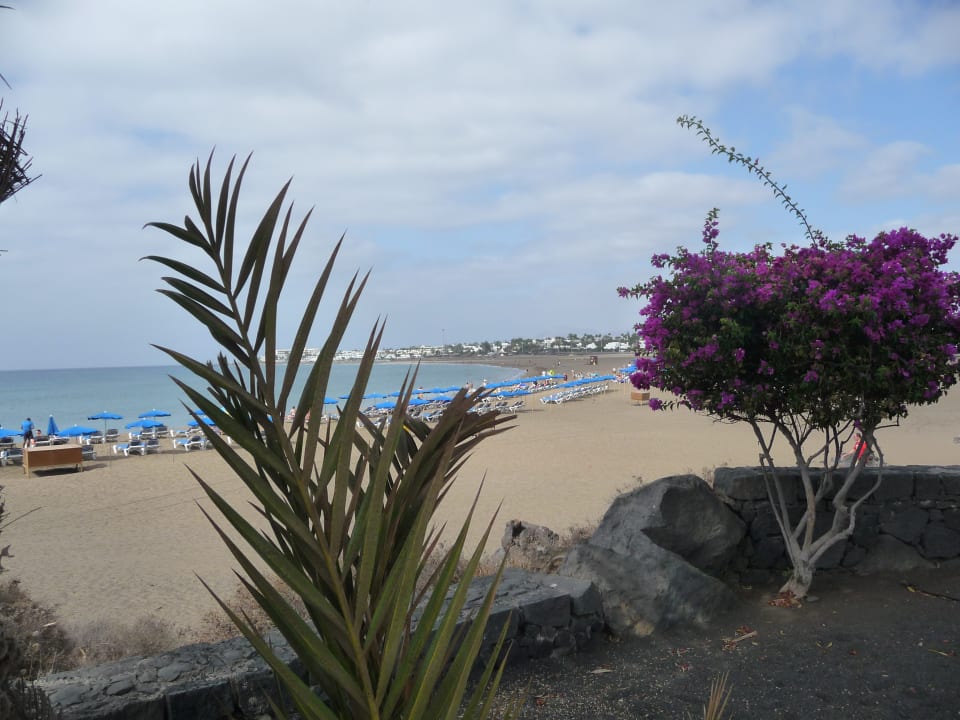 Strand Hotel Floresta