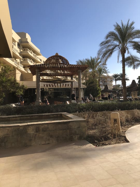 Gastro Sindbad Club