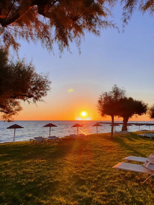 Strand TUI BLUE Oceanis Beach and Spa Resort