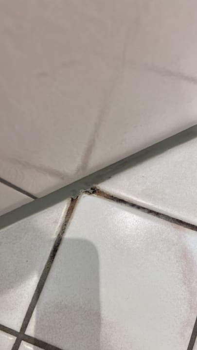 Zimmer Hotel Zum Schiff