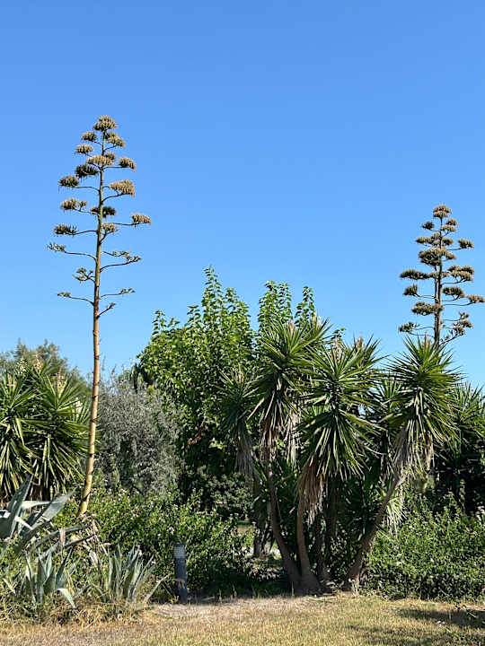 Außenansicht Seamelia Beach Resort