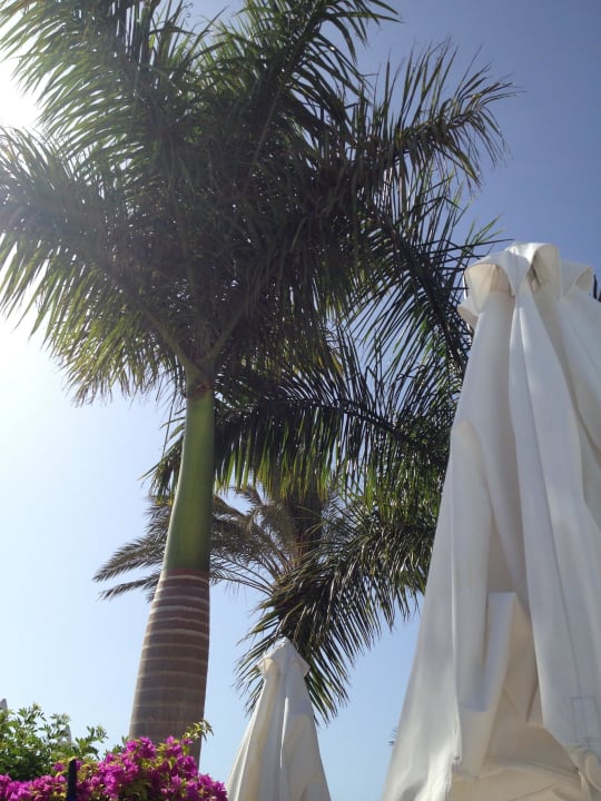 Pool Sunprime Atlantic View