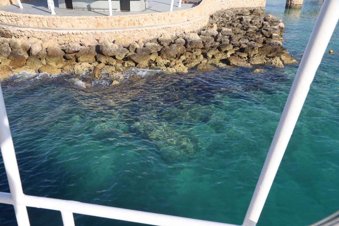 Strand Pickalbatros Citadel Resort