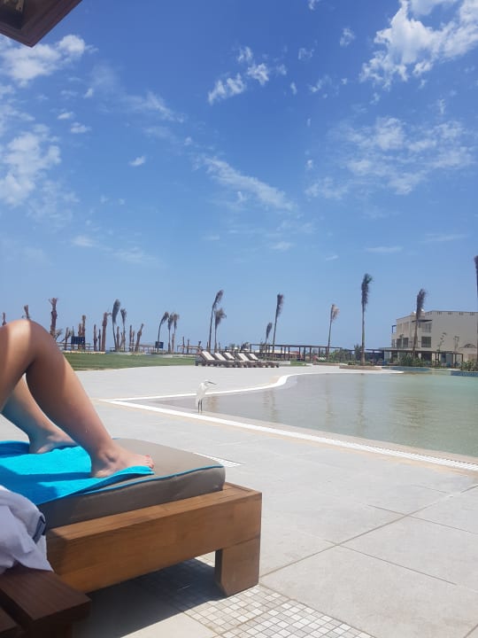 Pool Steigenberger Resort Alaya Marsa Alam - Red Sea - Adults only