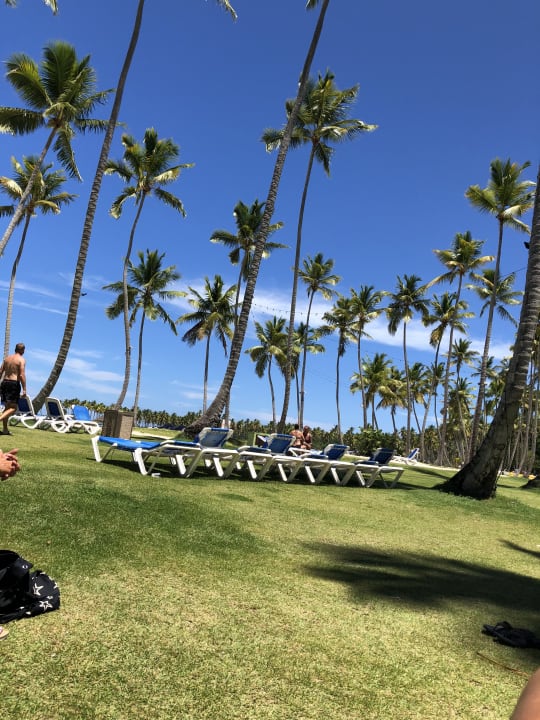 Gartenanlage Wyndham Alltra Samana