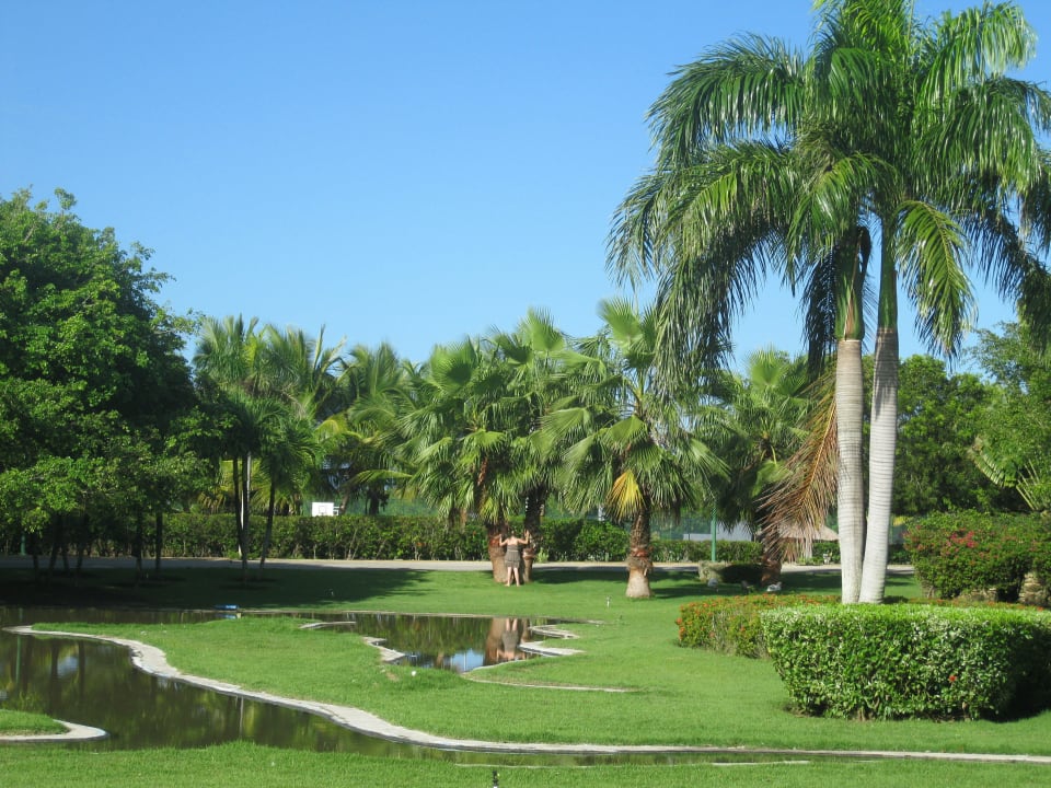 Gartenanlage vorm Hotel Grand Sirenis Punta Cana Resort & Aquagames