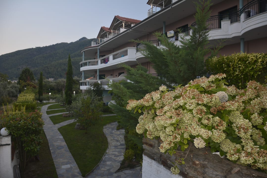 Außenansicht  Hotel Ocean Beach