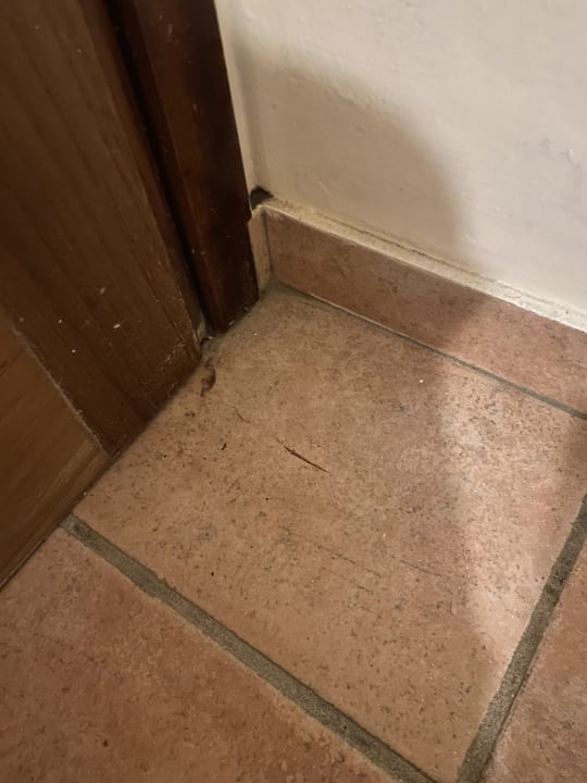 Zimmer Atlantica Marmari Beach