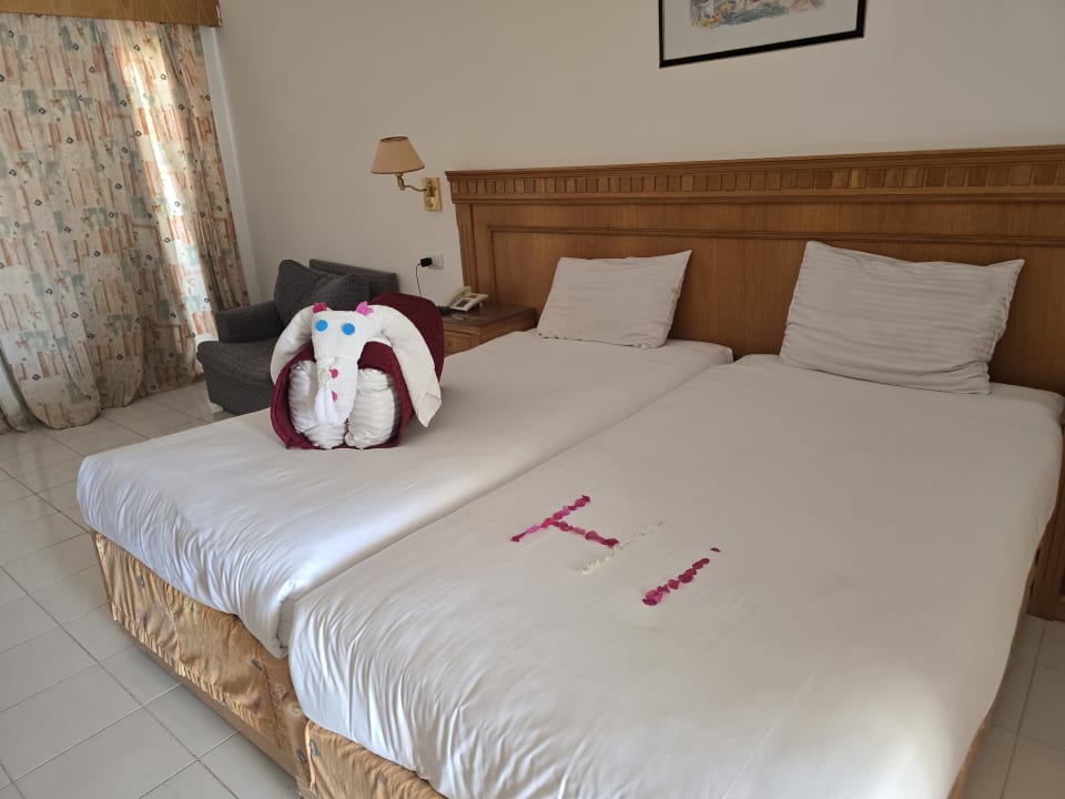 Zimmer MG Alexander The Great Hotel
