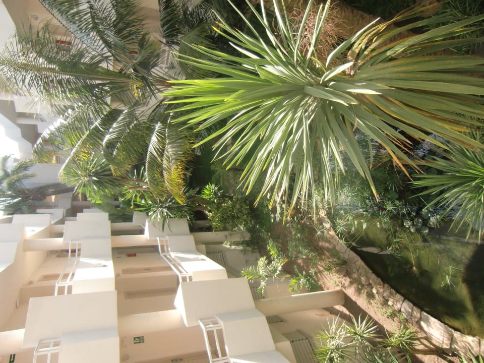 Innenhof Iberostar Waves Playa de Muro