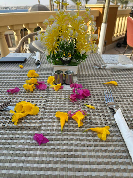 Gartenanlage Grand Waterworld Makadi & Family Star Makadi