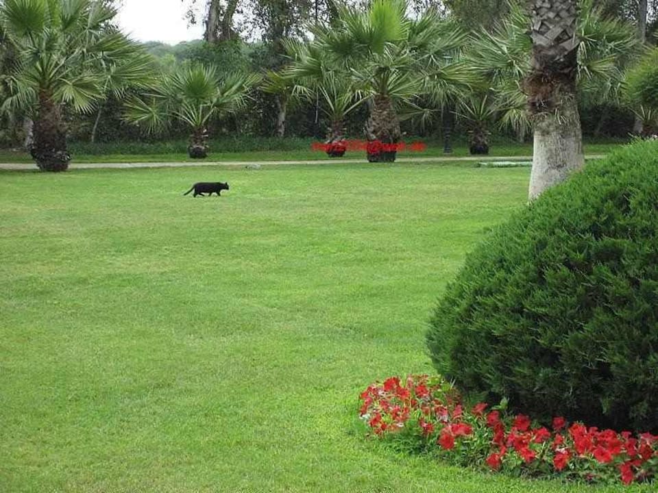 Heimweg TUI Magic Life Belek