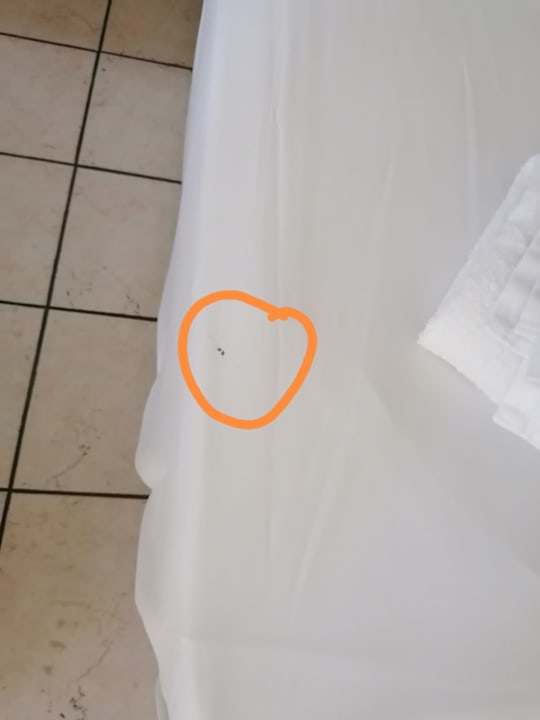 Zimmer Gaia Garden Hotel