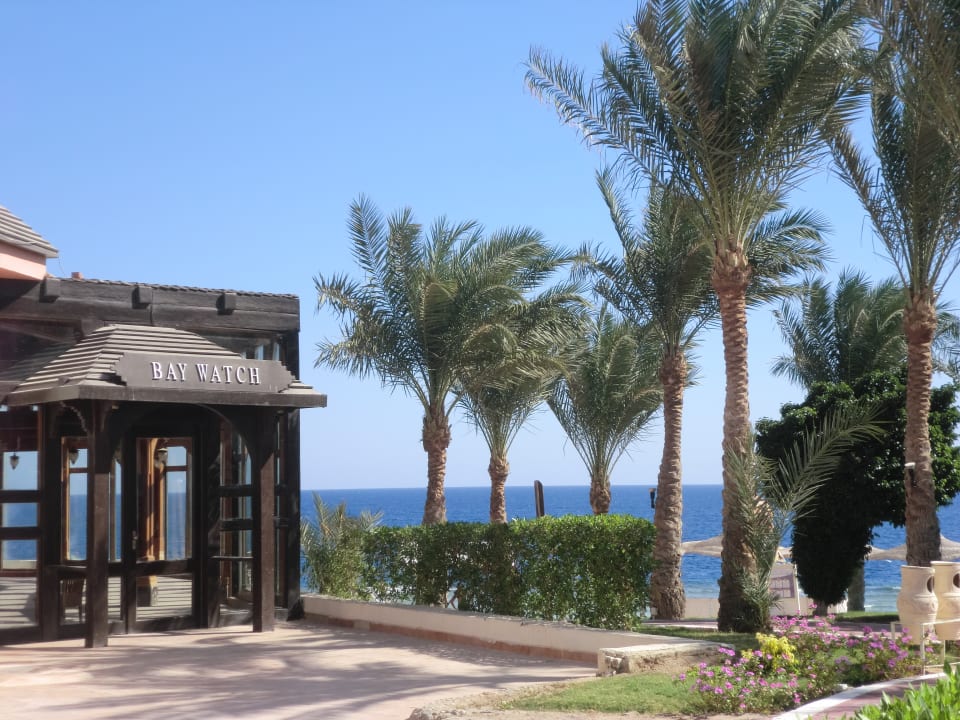 Dieses eigentlich schöne Restaurant am Strand war leider nic Serenity Alpha Beach