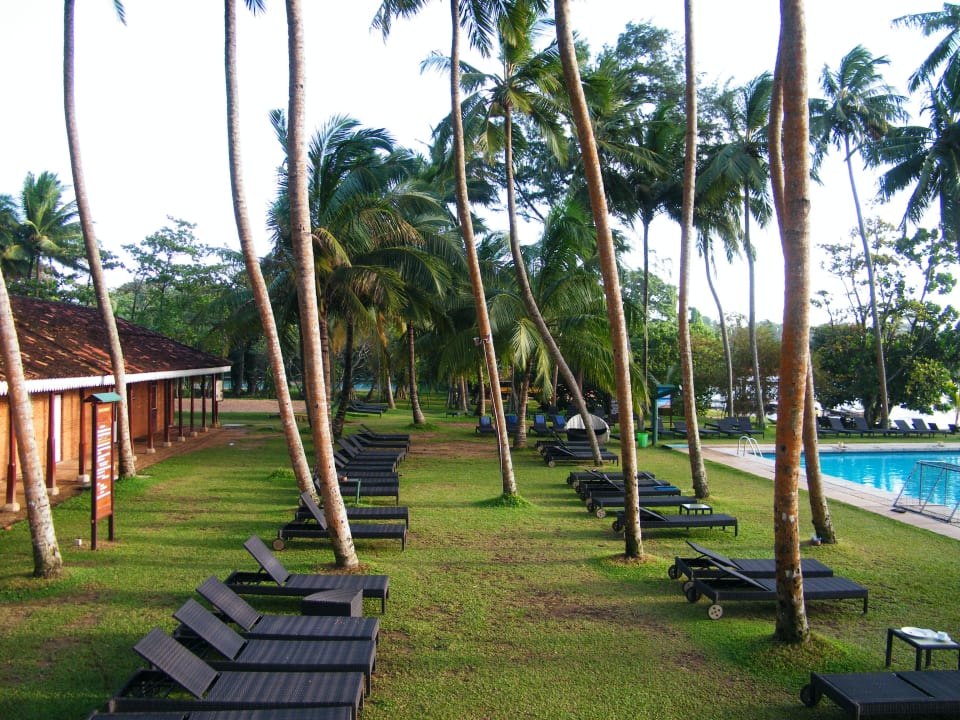 Poolliegen Hotel Club Bentota