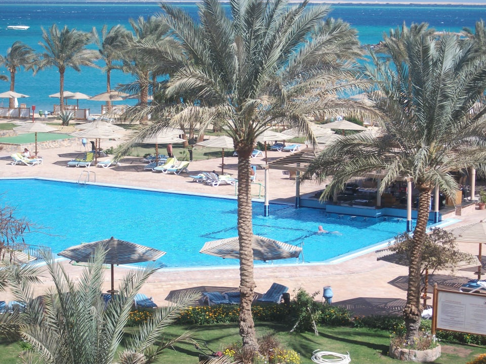 Blick von meinem Zimmer Continental Hotel Hurghada