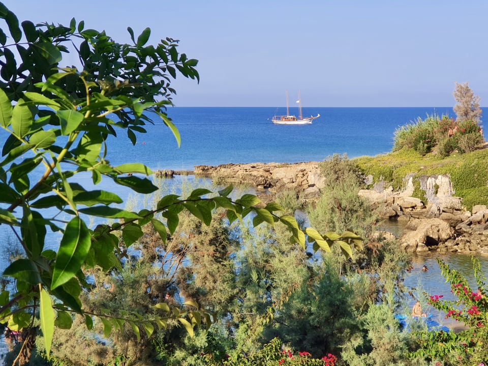 Ausblick Crystal Springs Beach Hotel