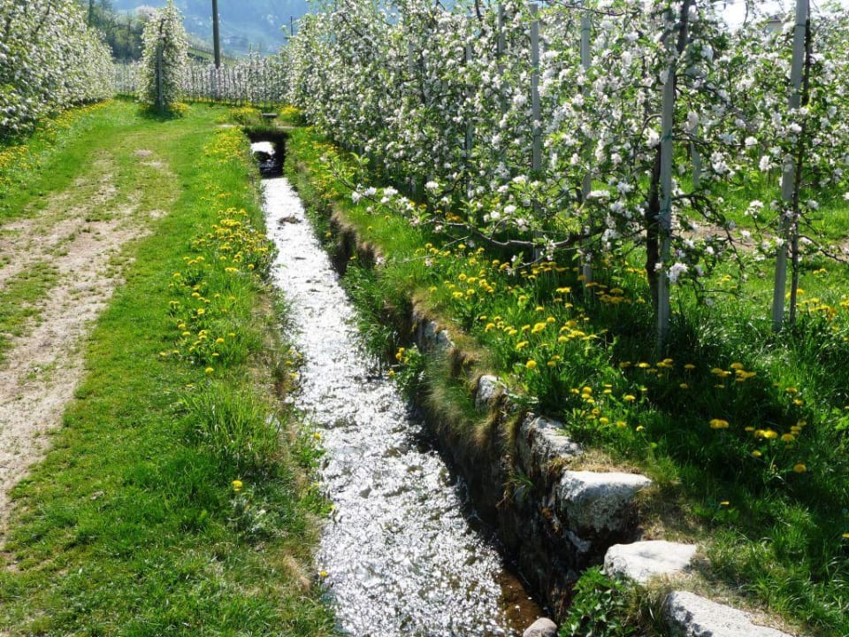 Maiser-Walweg am Hotel Hotel Burggräflerhof