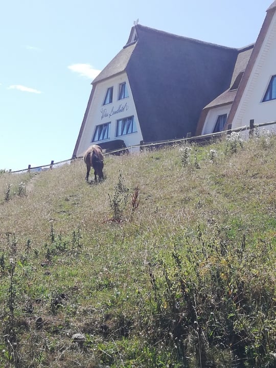 Außenansicht Wittenbeck Resort