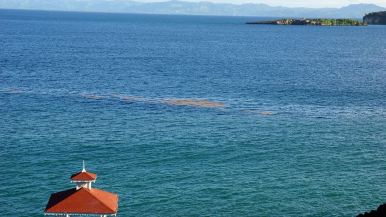 Ausblick Bahia Principe Grand Samana - Adults Only