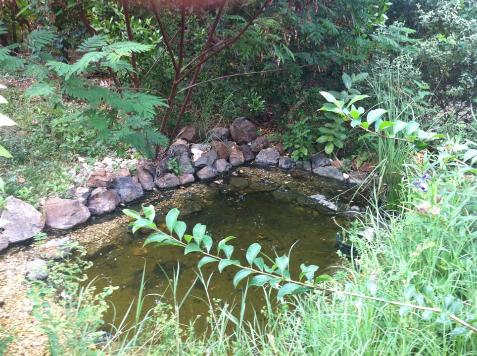 Fischteich Don Genaro Apartments