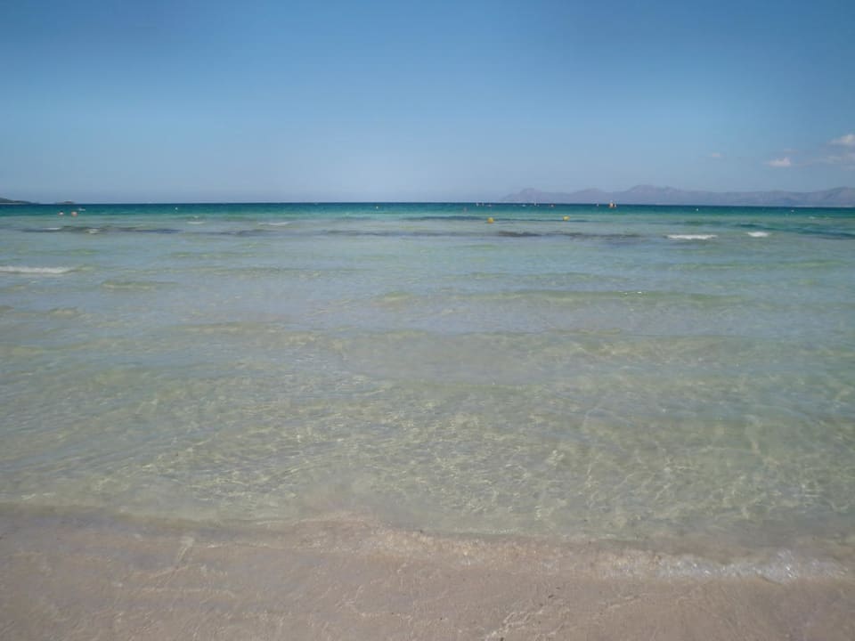 Glasklares Wasser allsun Hotel Eden Alcudia
