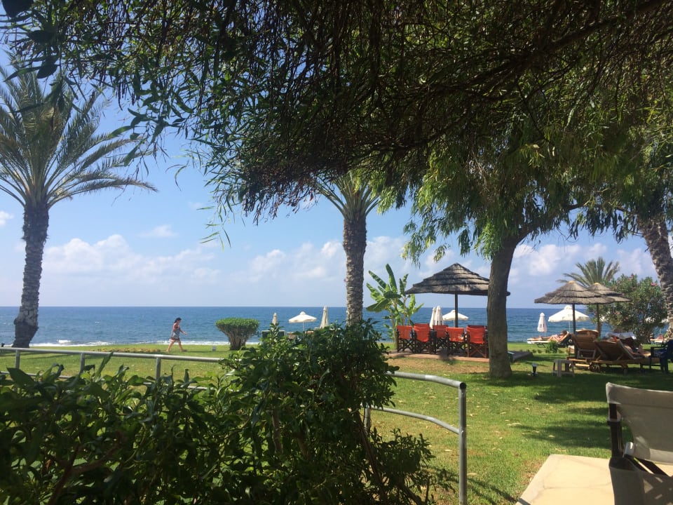 Außenansicht Constantinou Bros Athena Royal Beach Hotel