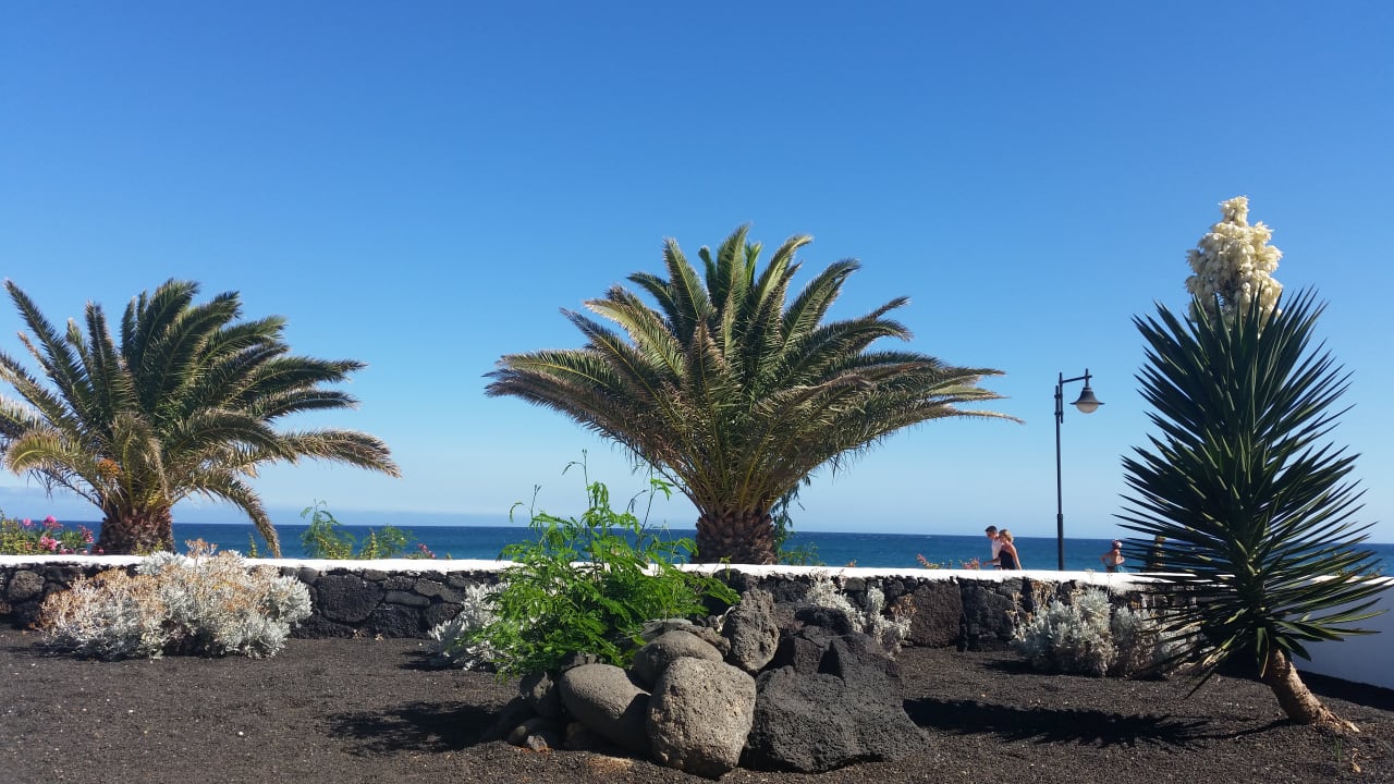 Ausblick Apartamentos LIVVO Las Gaviotas