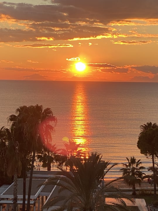 Ausblick Acanthus Cennet Barut Collection