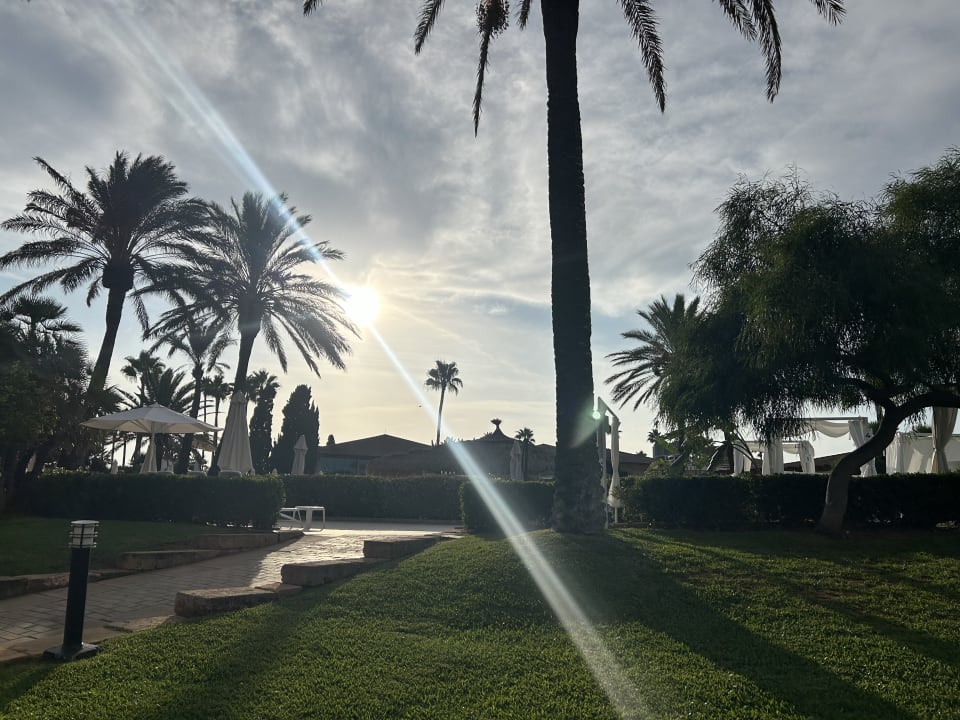 Gartenanlage Blau Colònia Sant Jordi