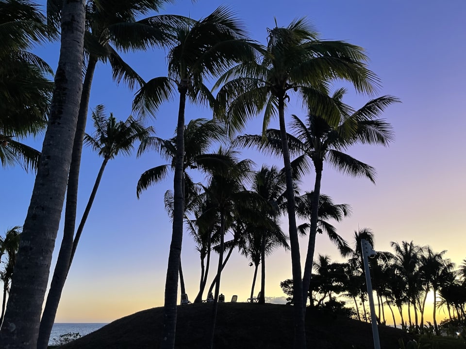 Gartenanlage Hotel Riu Turquoise