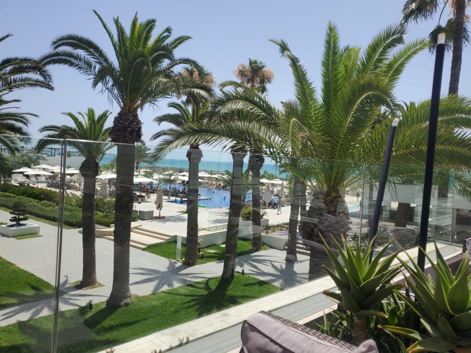 Ausblick The Orangers Garden Villas & Bungalows