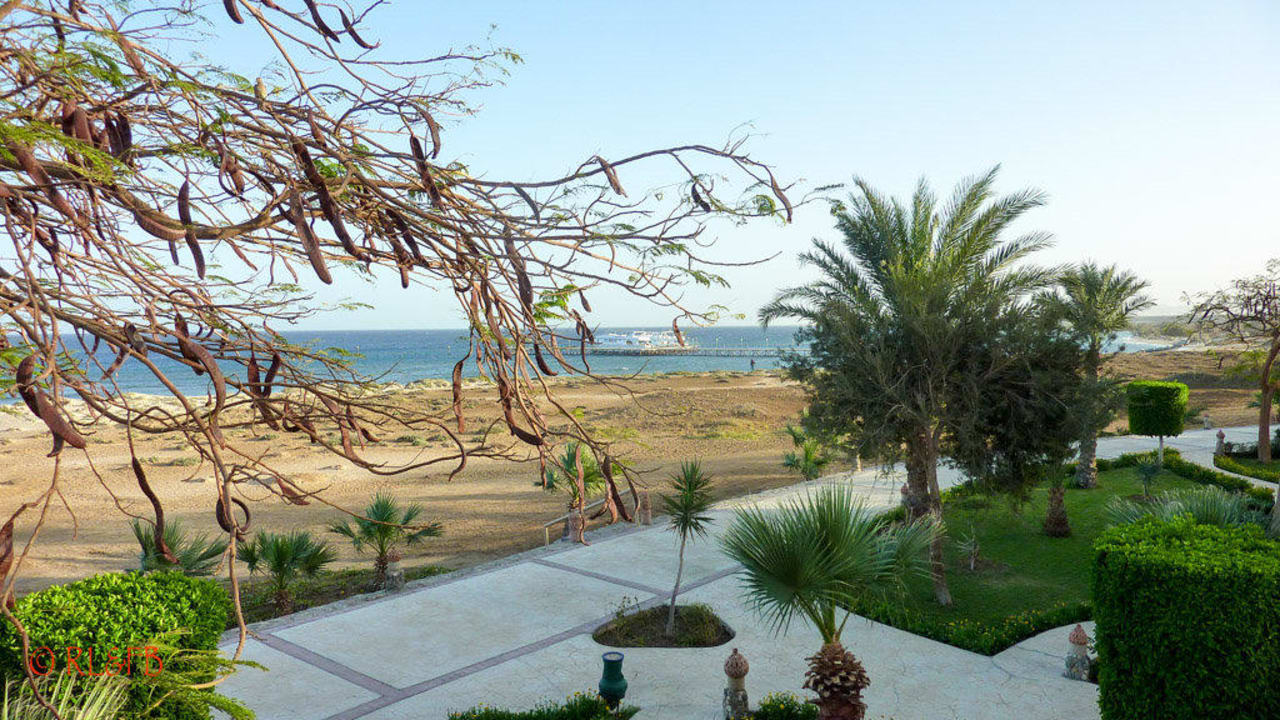 Rechtseitiger Ausblick zur Tauchbasis Shams Alam Beach Resort