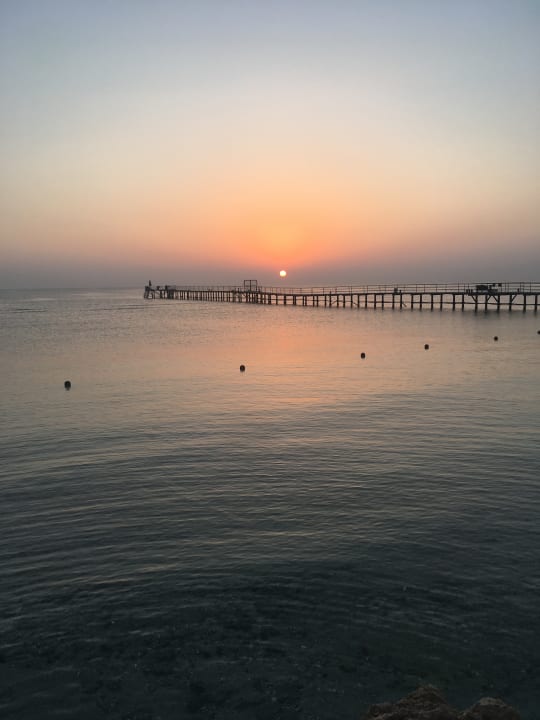 Strand Pickalbatros Sands Hotel - Port Ghalib