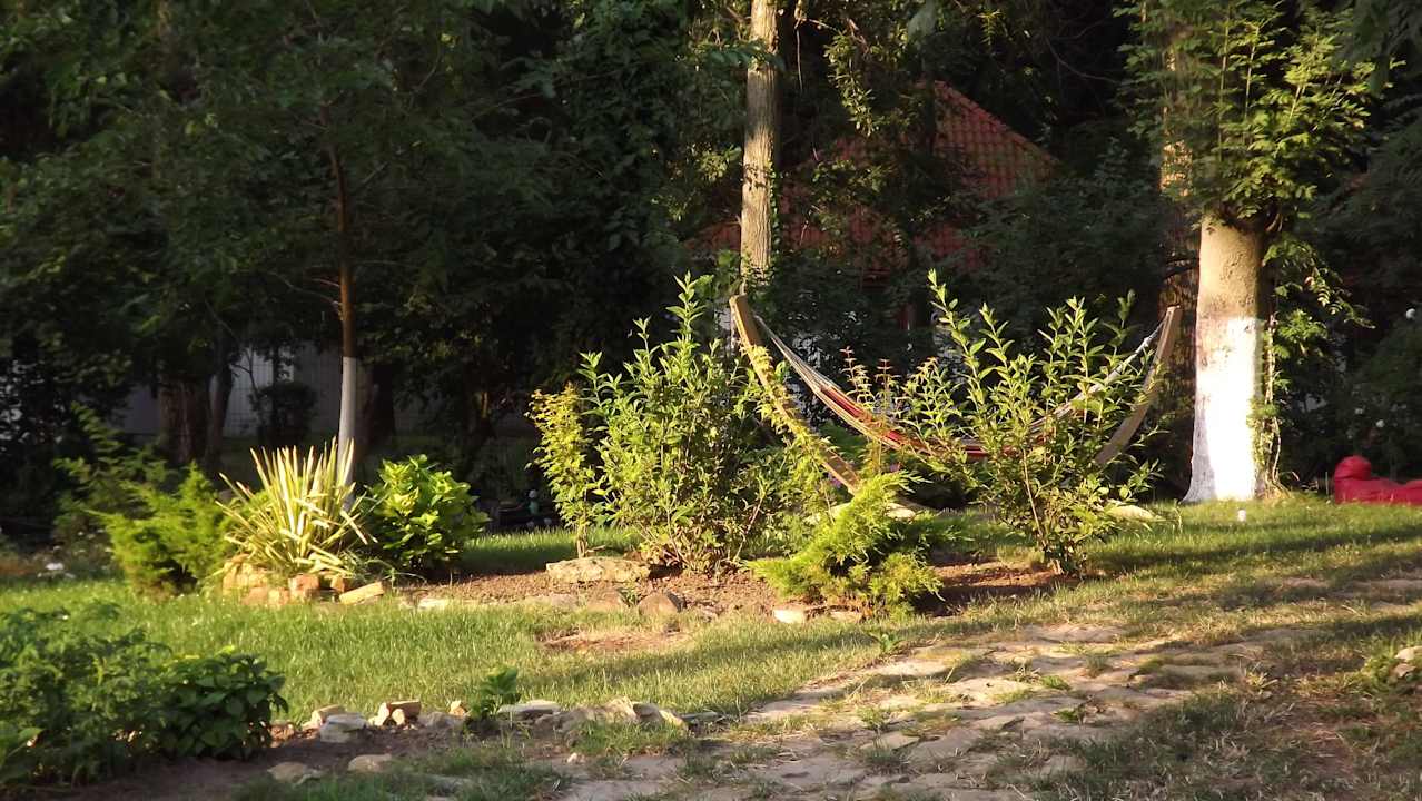 Hotel garden Hotel Sara