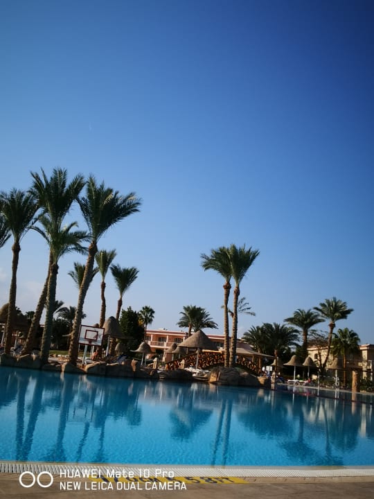 Pool Parrotel Beach Resort