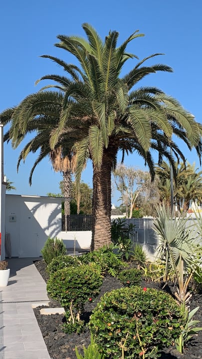 Gartenanlage Hotel Islas Paraiso