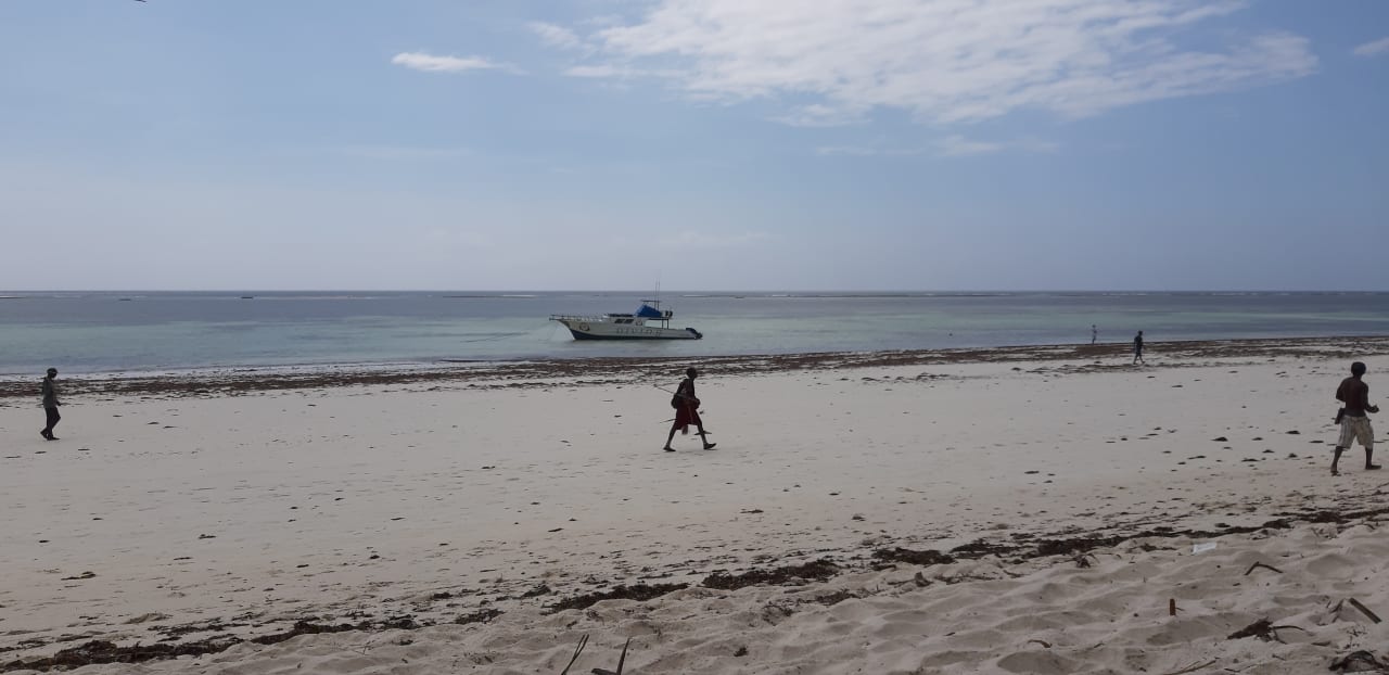 Strand African Dream Cottages
