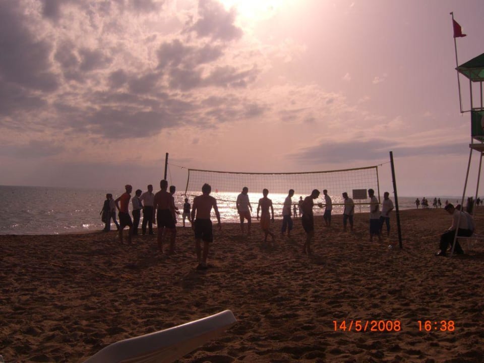 Volleyballspiel im Gegenlicht Side Star Elegance