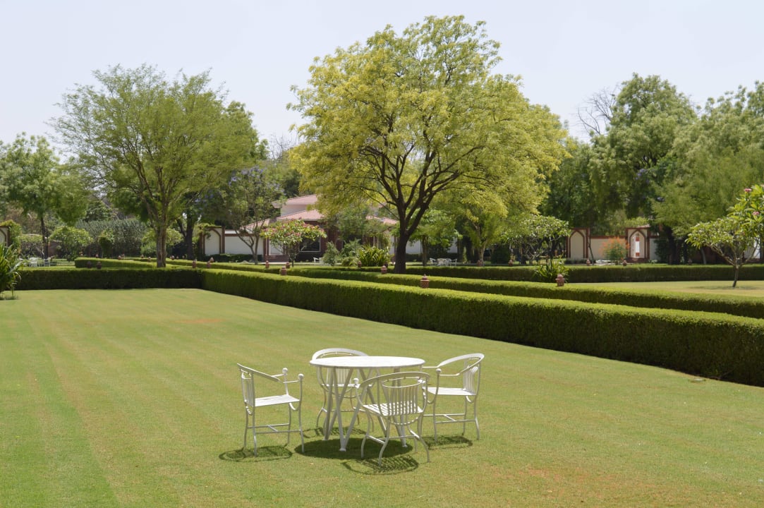 Schöner Garten Hotel Raj Niwas Palace