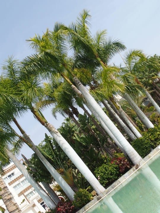 Pool Tabaiba Princess