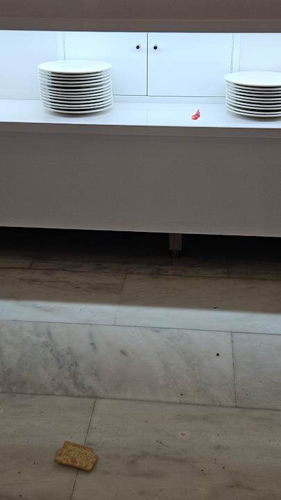 Gastro Alexandre La Siesta