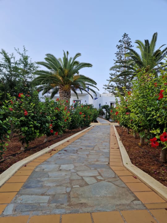 Gartenanlage TUI SUNEO Chrissi Amoudia