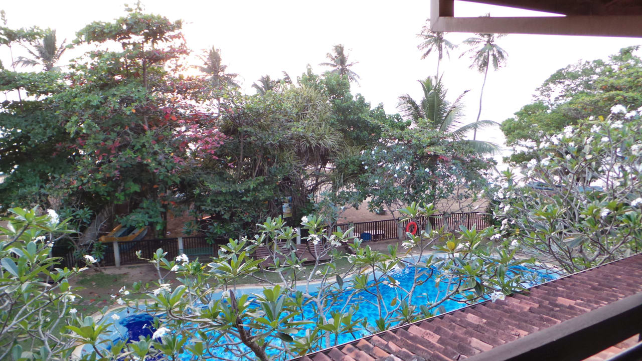 Pool  vom Balkon fotografiert Earl’s Reef Beruwala