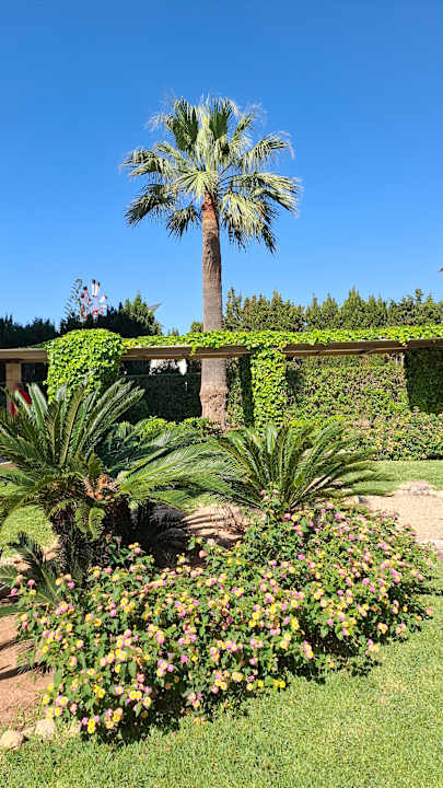 Gartenanlage allsun App.-Hotel Orient Beach