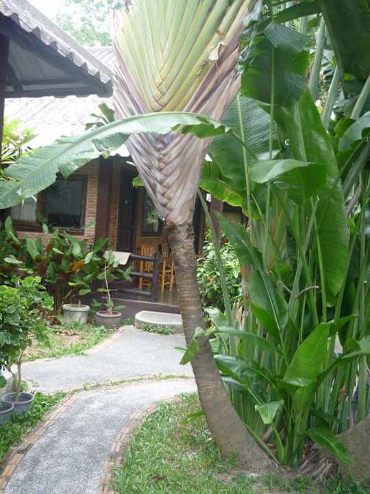 Weg zum Bungalow Hotel The Cottage